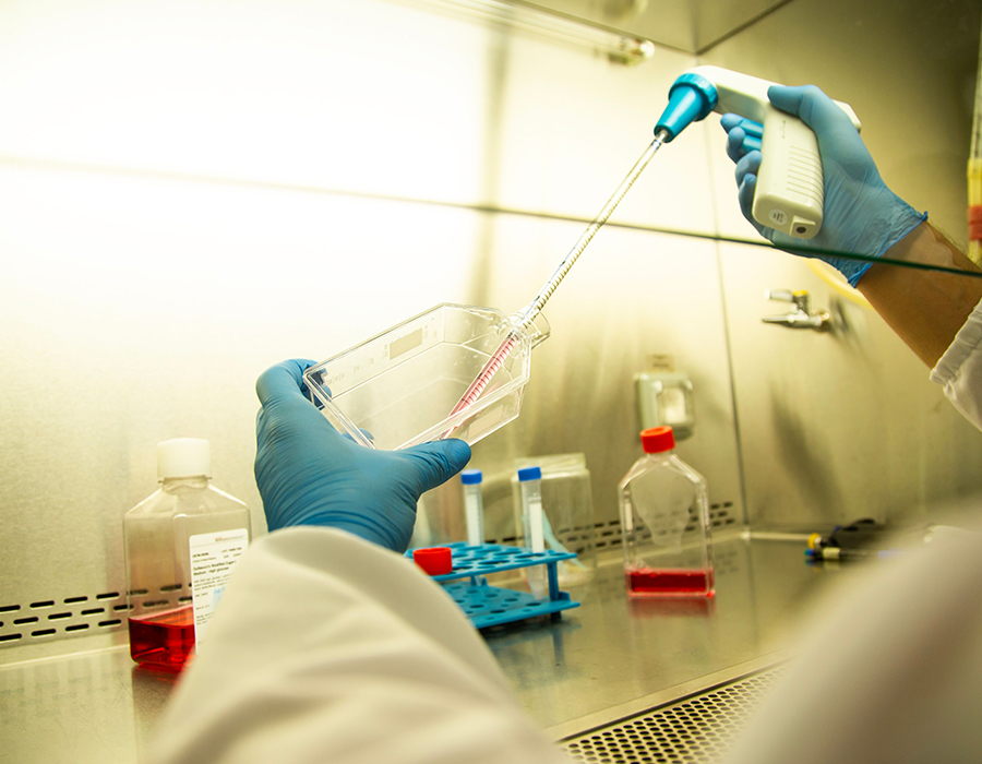 Biotecnología y Farmacéutica